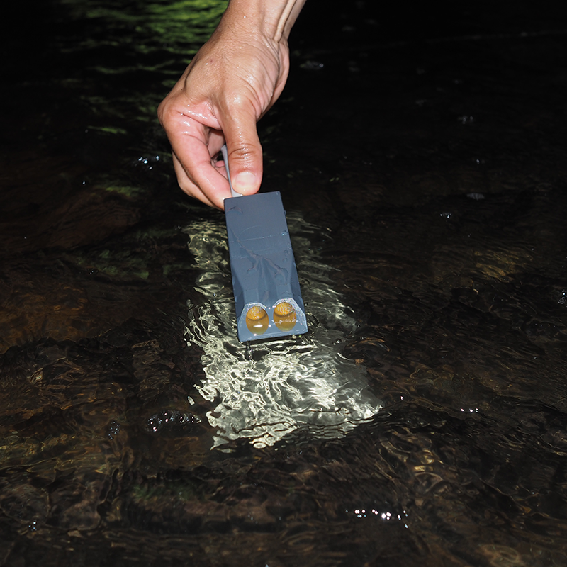 Stingray submersible sensor 